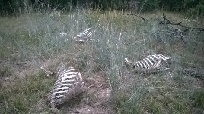 wp_20150904_19_26_47_pro